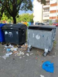 Photo of this report