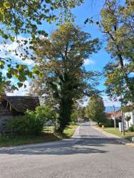 Photo of this report