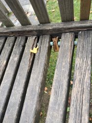 Photo of this report