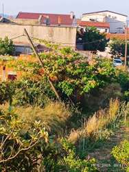 Photo of this report