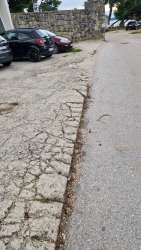 Photo of this report