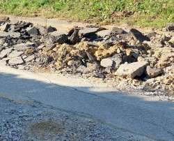 Photo of this report