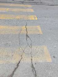 Photo of this report