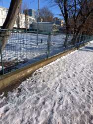 Photo of this report