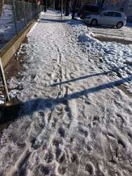 Photo of this report