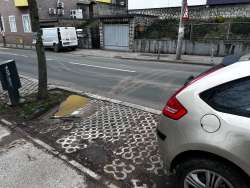 Photo of this report