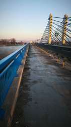 Photo of this report