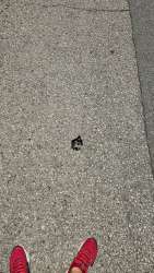 Photo of this report