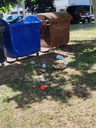 Photo of this report