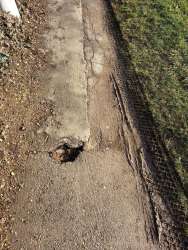 Photo of this report