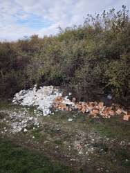 Photo of this report