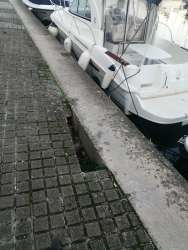 Photo of this report