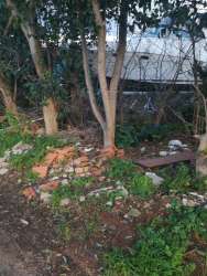 Photo of this report