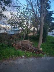 Photo of this report