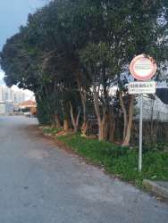 Photo of this report