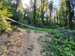 Photo of this report